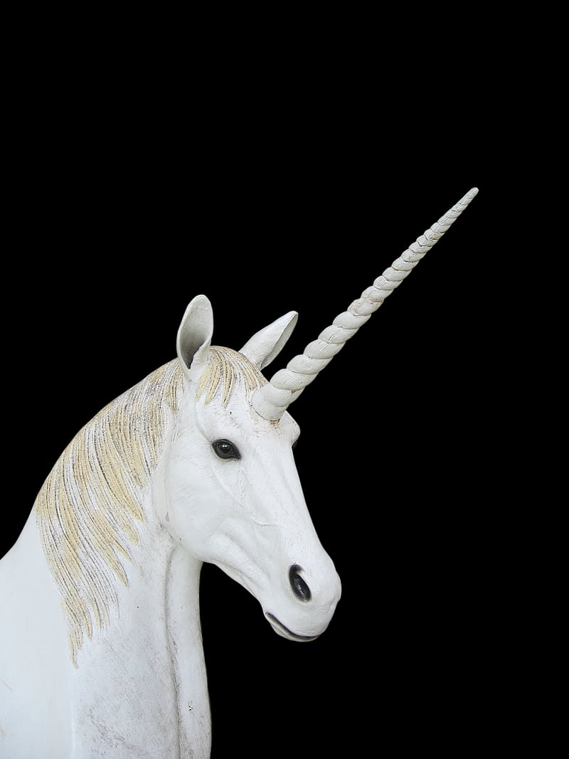 Unicorn Garden Ideas
